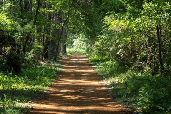Nature Trails