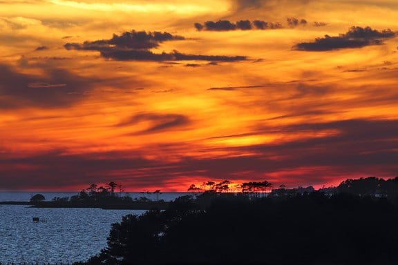 Audubon Sanctuary and Center at Pine Island