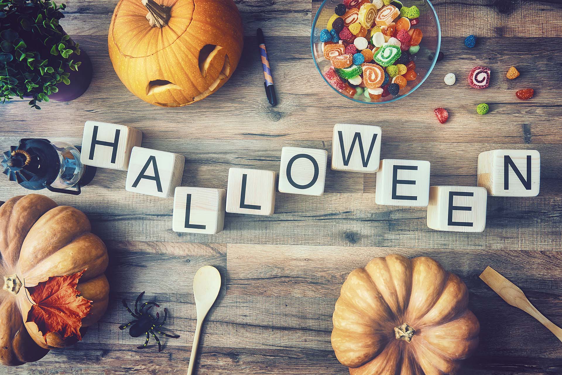 Halloween Photo