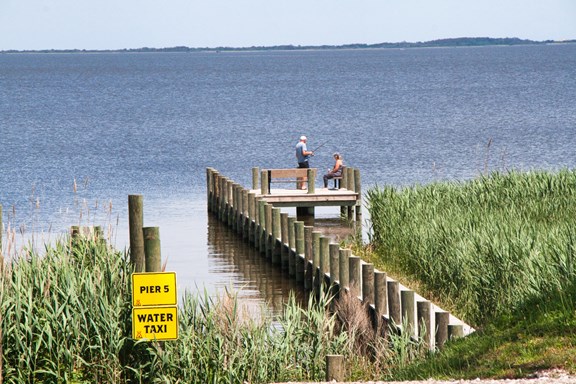 A Fisherman's Paradise