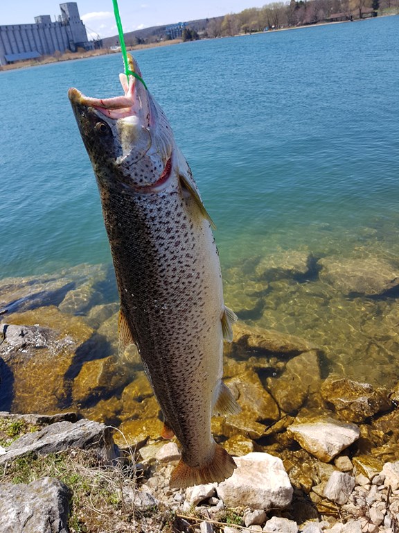 Fishing in Owen Sound