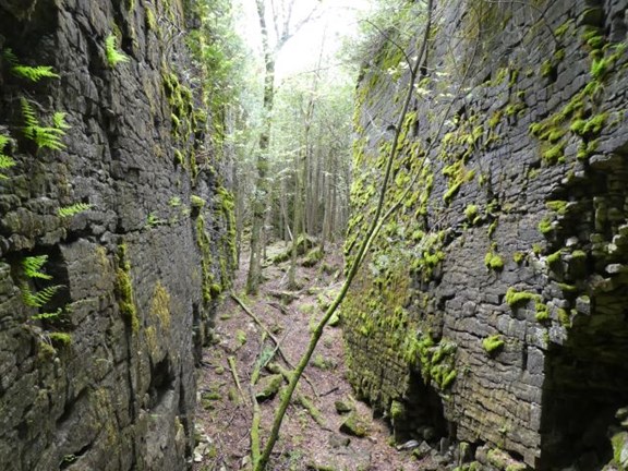 Explore the Nature around Owen Sound