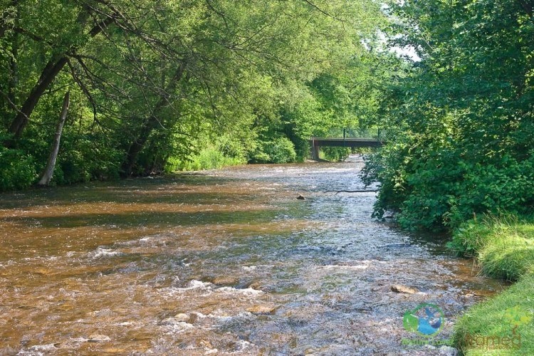 3 Day Trips from Owen Sound