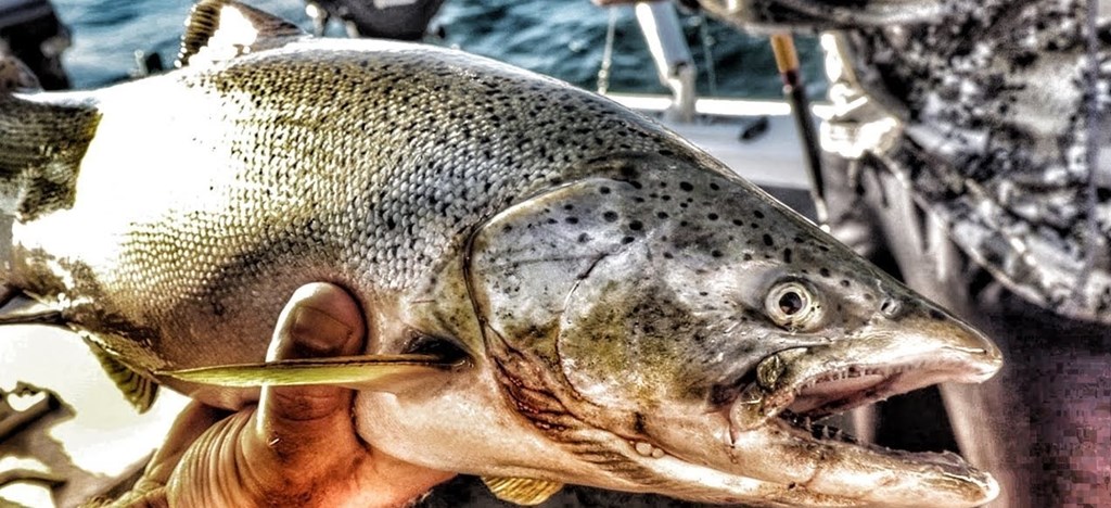 Casting Away: Fishing in Owen Sound