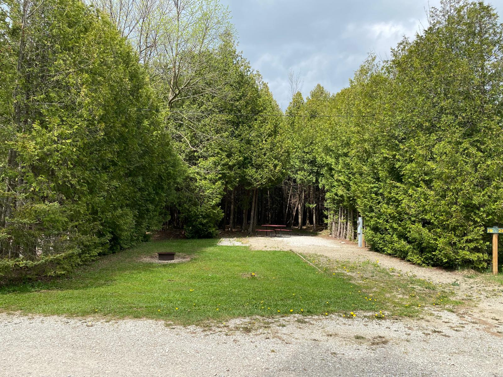 Site 019