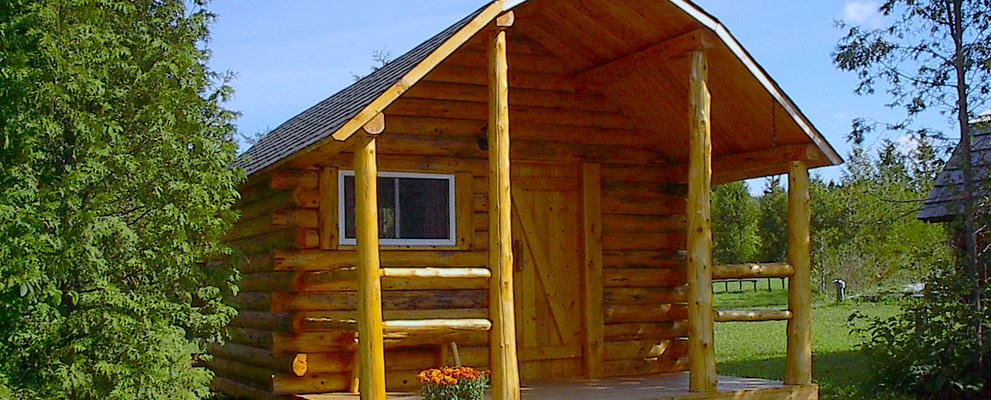 One of our 1 Room Camping Cabin ( w/o Bathroom)