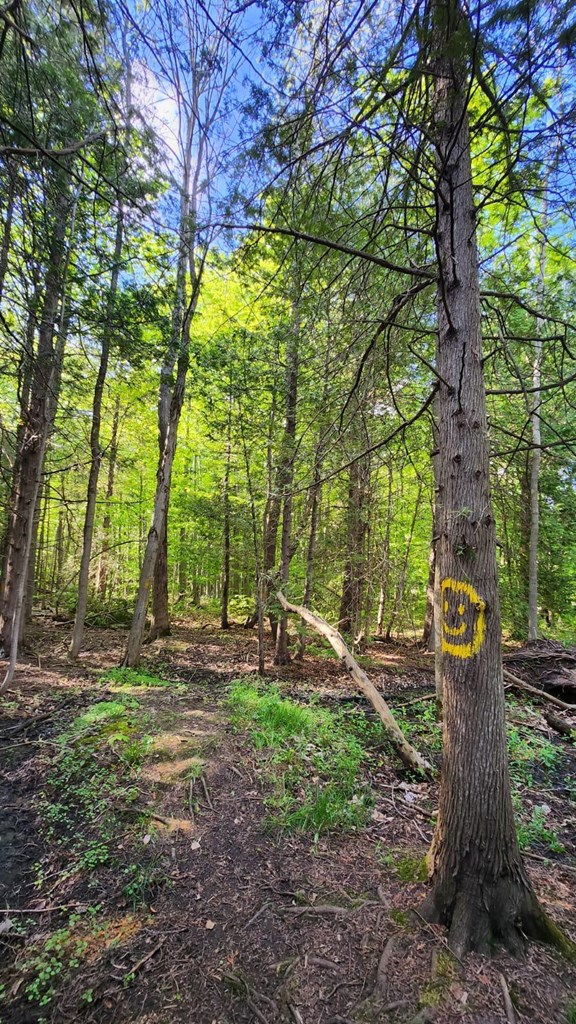 Welcome to the Owen Sound KOA Journey