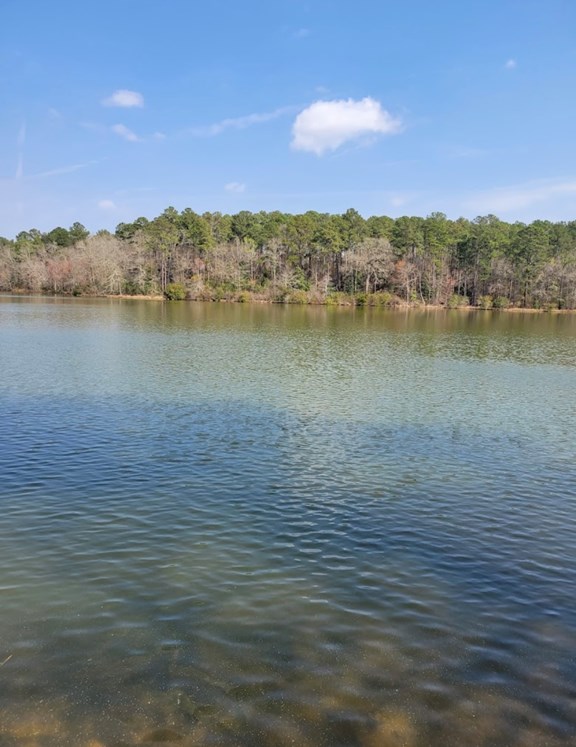 Ed Lisenby Lake