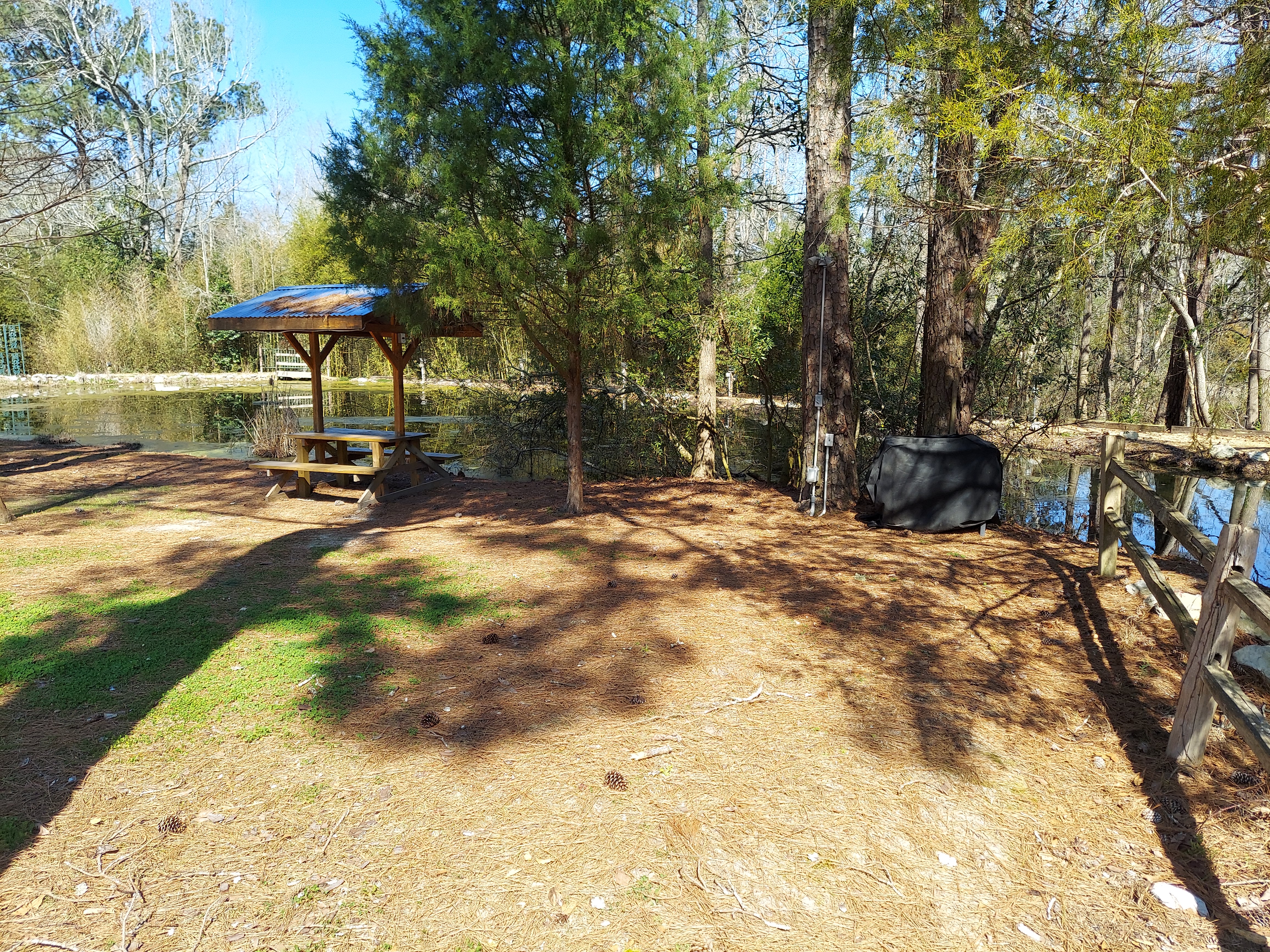 Site T1