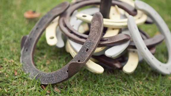 Horseshoes