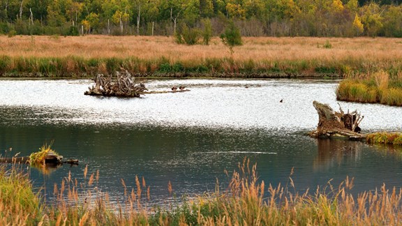 Anchorage Coastal Wildlife Refuge