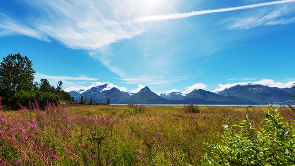 Eagle River Nature Center