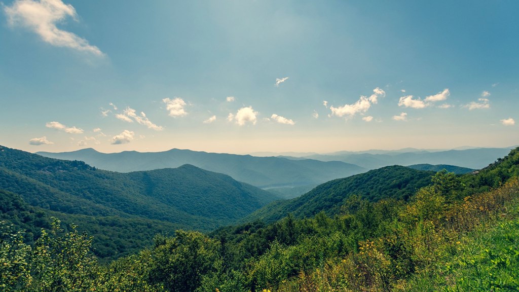 Exploring the Untamed Beauty: Top Things to Do in Palmer
