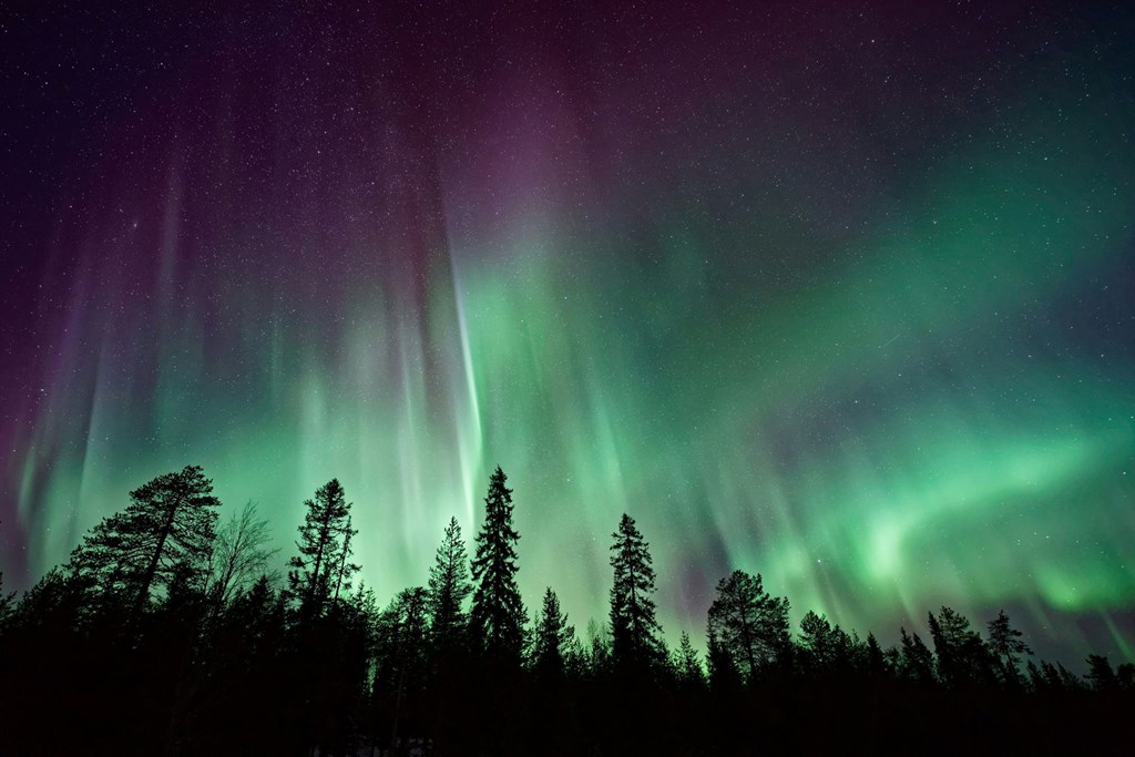 When's the Best Time to Visit Palmer, Alaska?