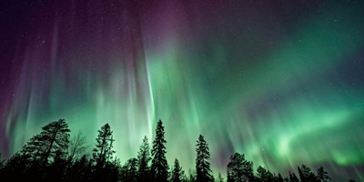 When's the Best Time to Visit Palmer, Alaska?