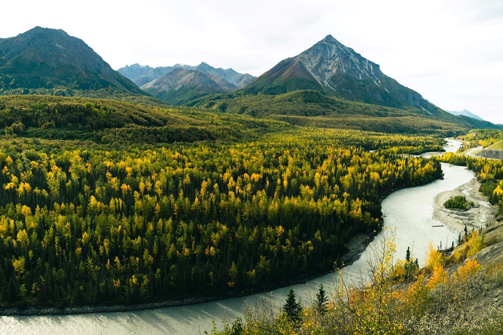 First-Timer's Guide: Pack for Your Alaskan Camping Trip