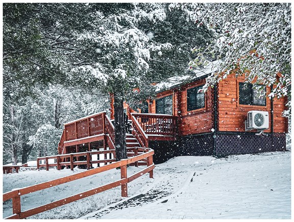 Large Deluxe Cabin