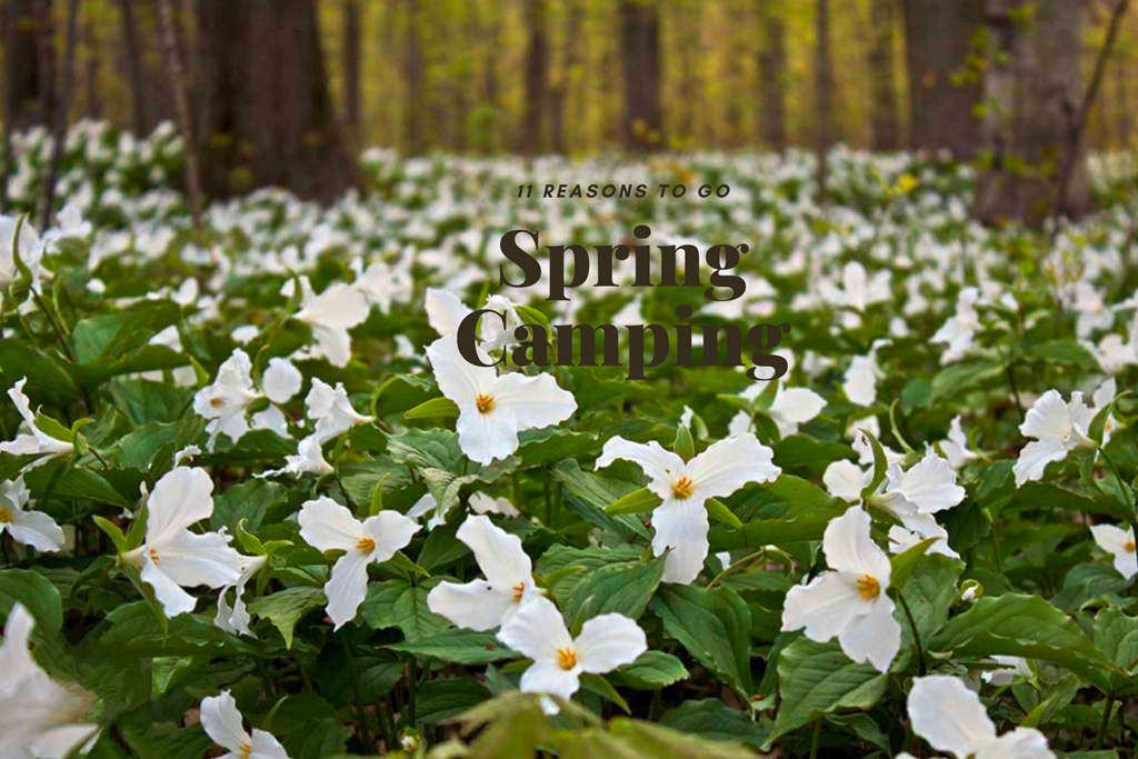 11 Reasons to Camp this Spring