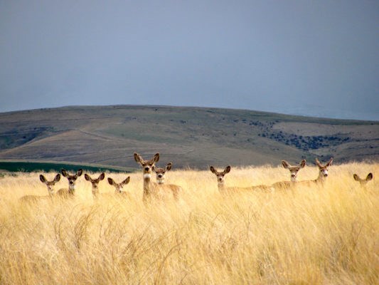 Explore Pendleton On 2 Wheels