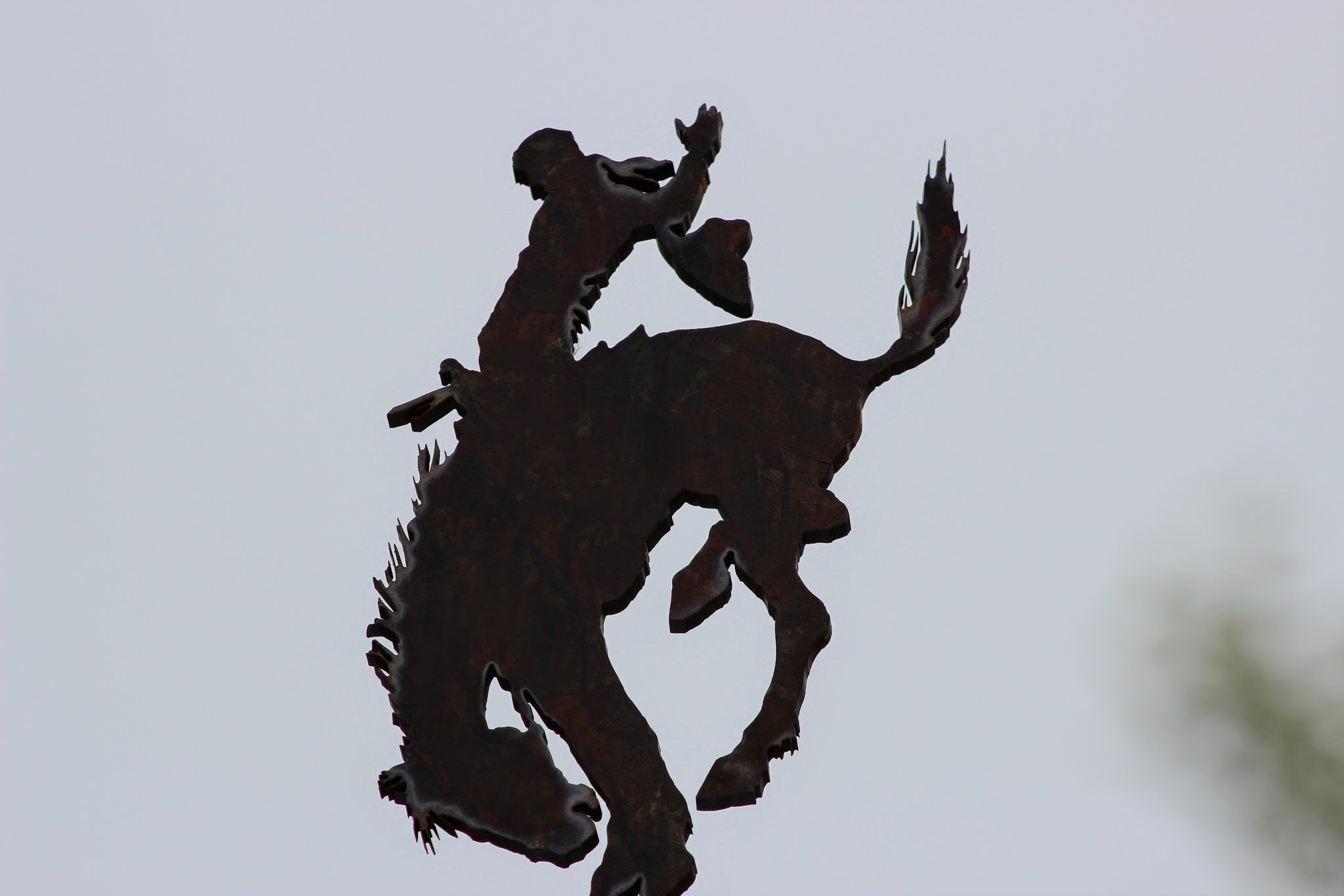 Pendleton Round-Up Photo