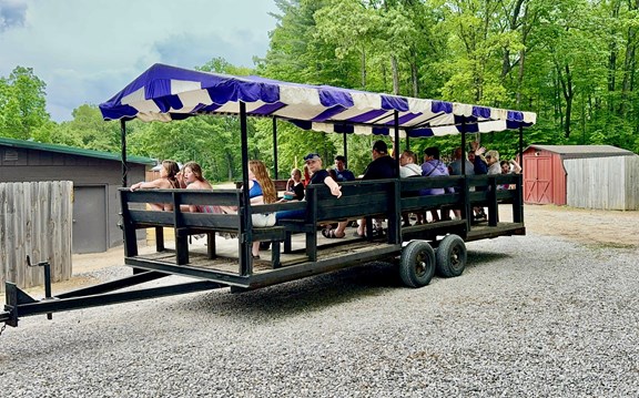 Wagon Rides