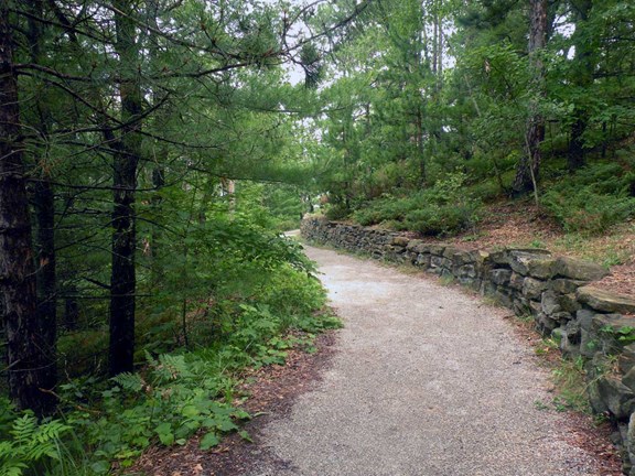 Huron-Manistee National Forest