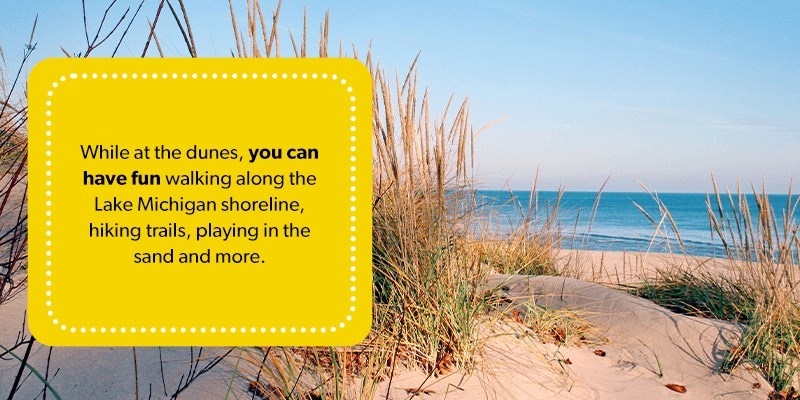 What Is the Nordhouse Dunes Wilderness Area?