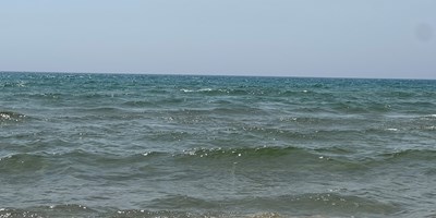 Ludington Local Guide