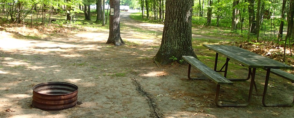 Quite secluded site