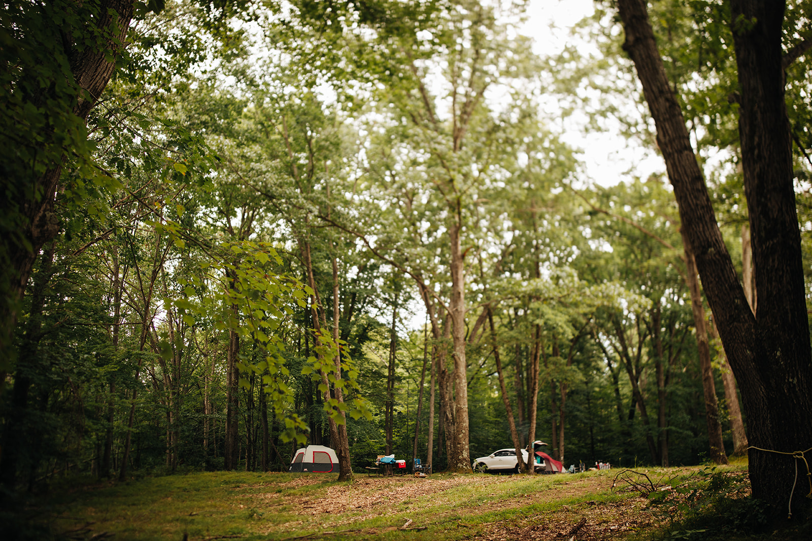 Tenting