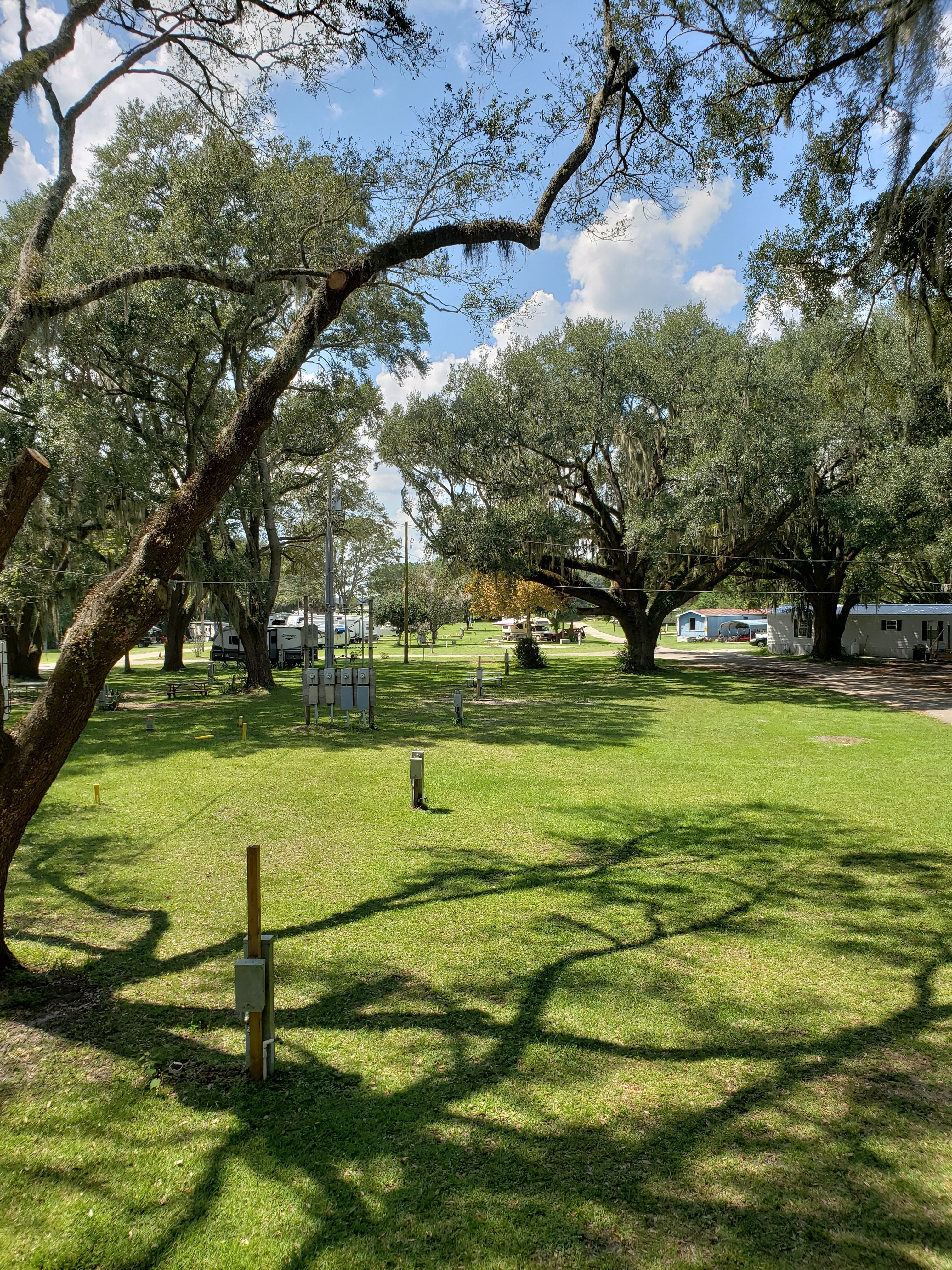 Center B/C Section, 50A FHU,  Large Grassy Back-in