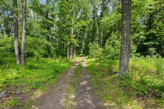Hiking and Biking
