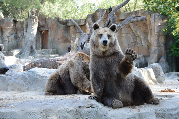 Cohanzick Zoo