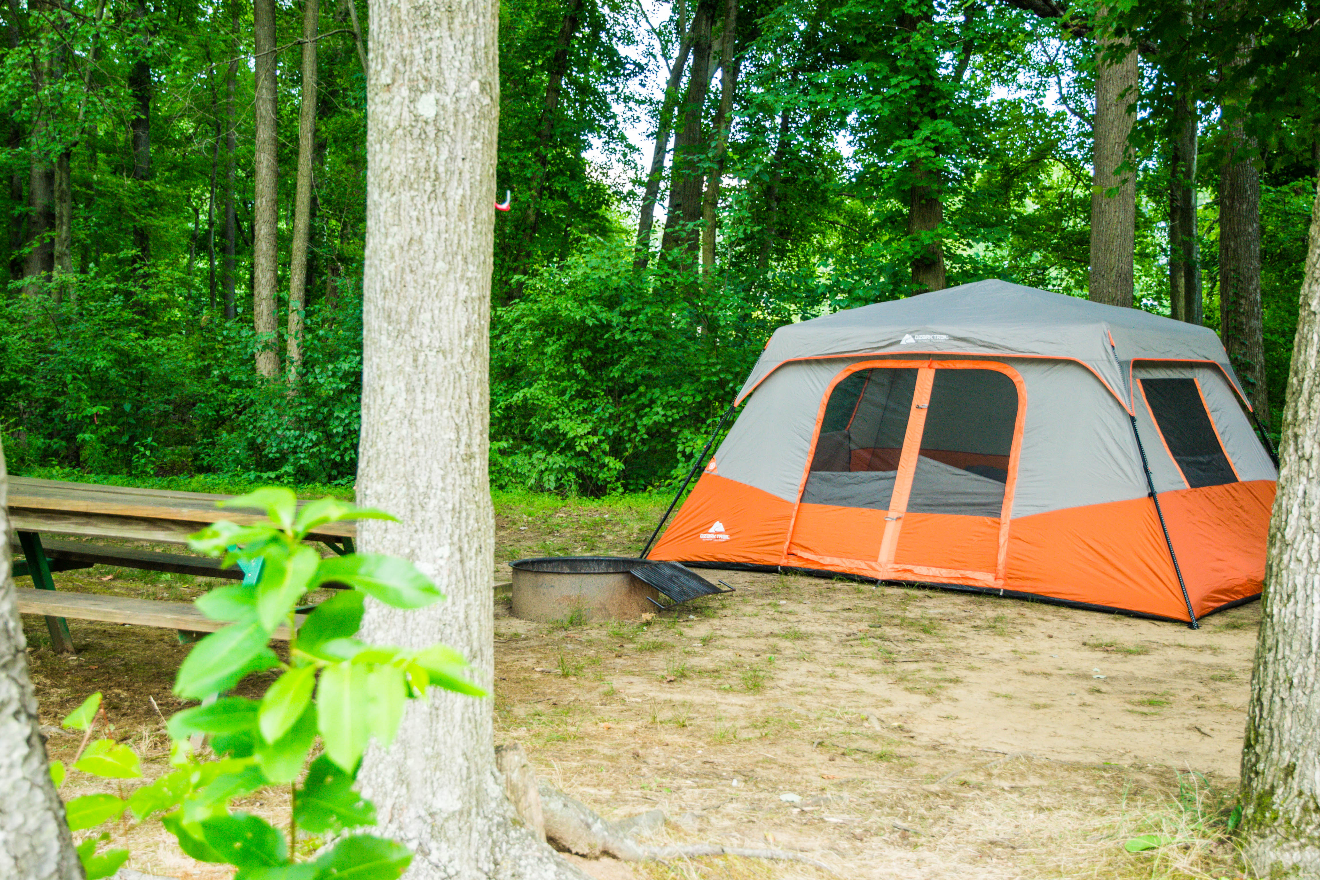 Large wooded tent sites