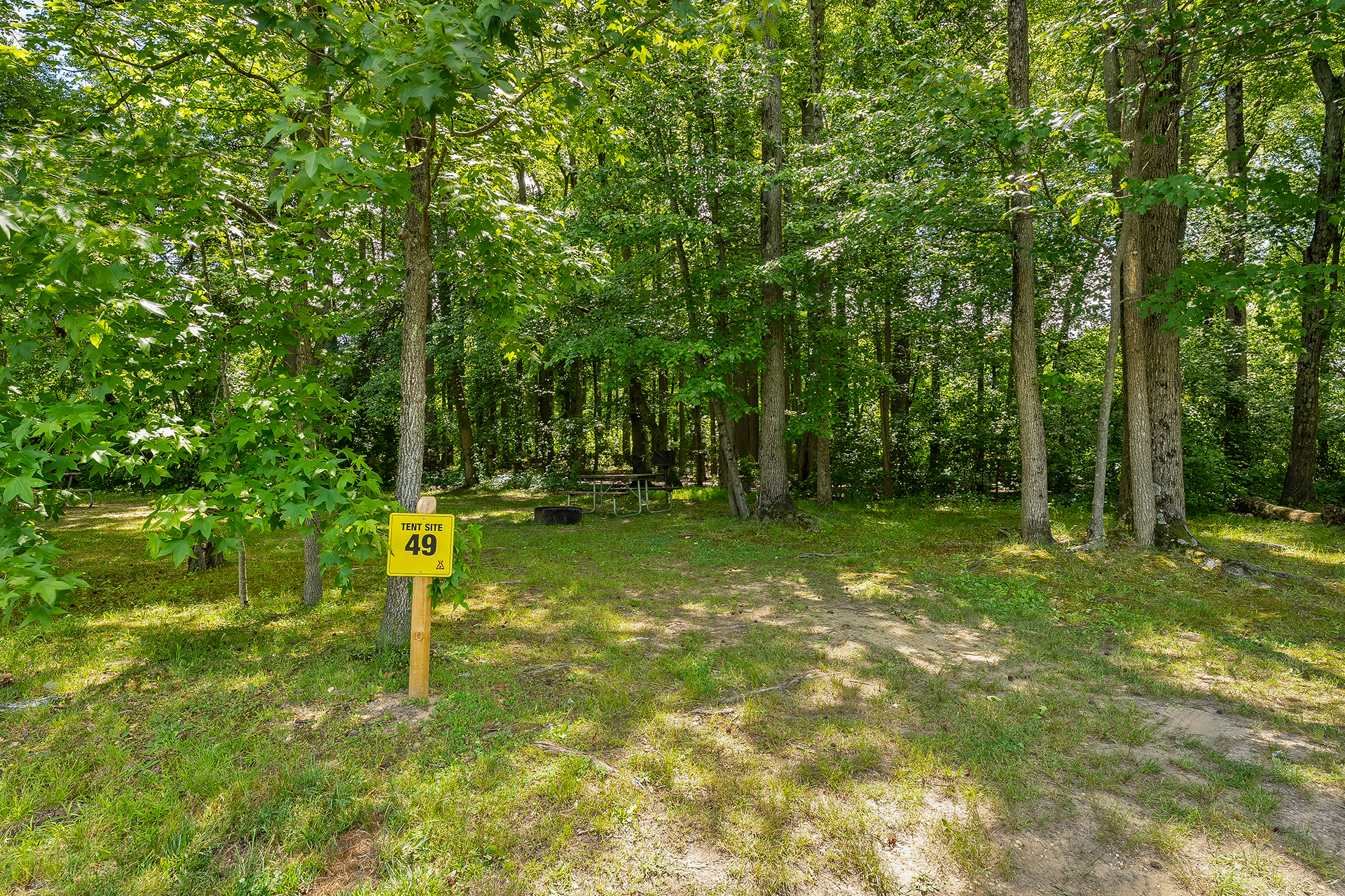 T49 - Tent Site, No Hookups