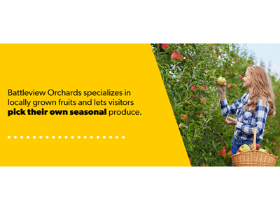 Woman smiling and picking her own apples at Battleview Orchards, just outside of Clarksboro, NJ
