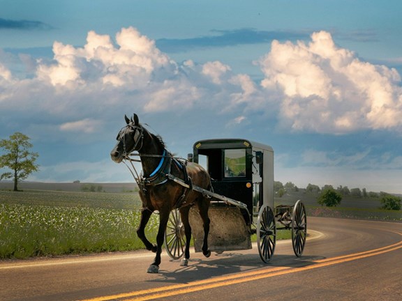 Lancaster / Amish Country
