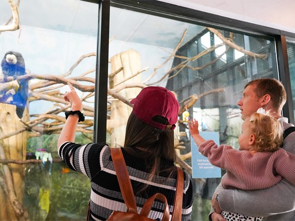Elmwood Park Zoo