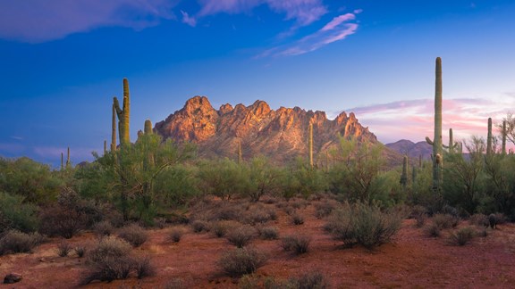 Ironwood Forest National Monument
