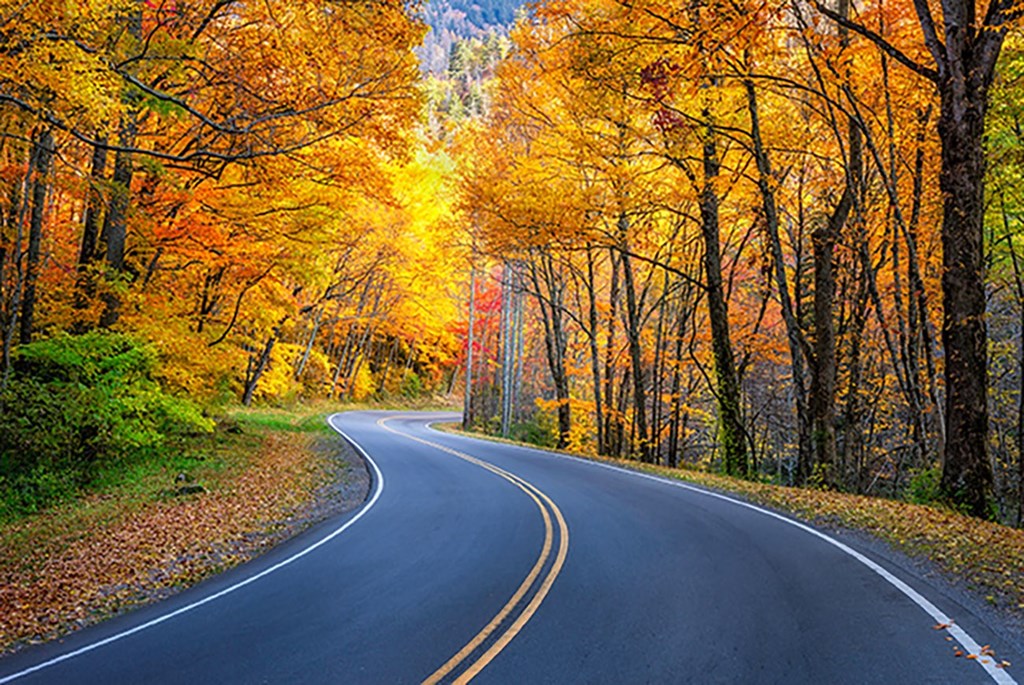The Ultimate Guide to Leaf Peeping in Pigeon Forge, TN