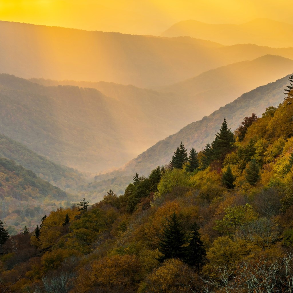 Discover Weatherproof Fun in Pigeon Forge