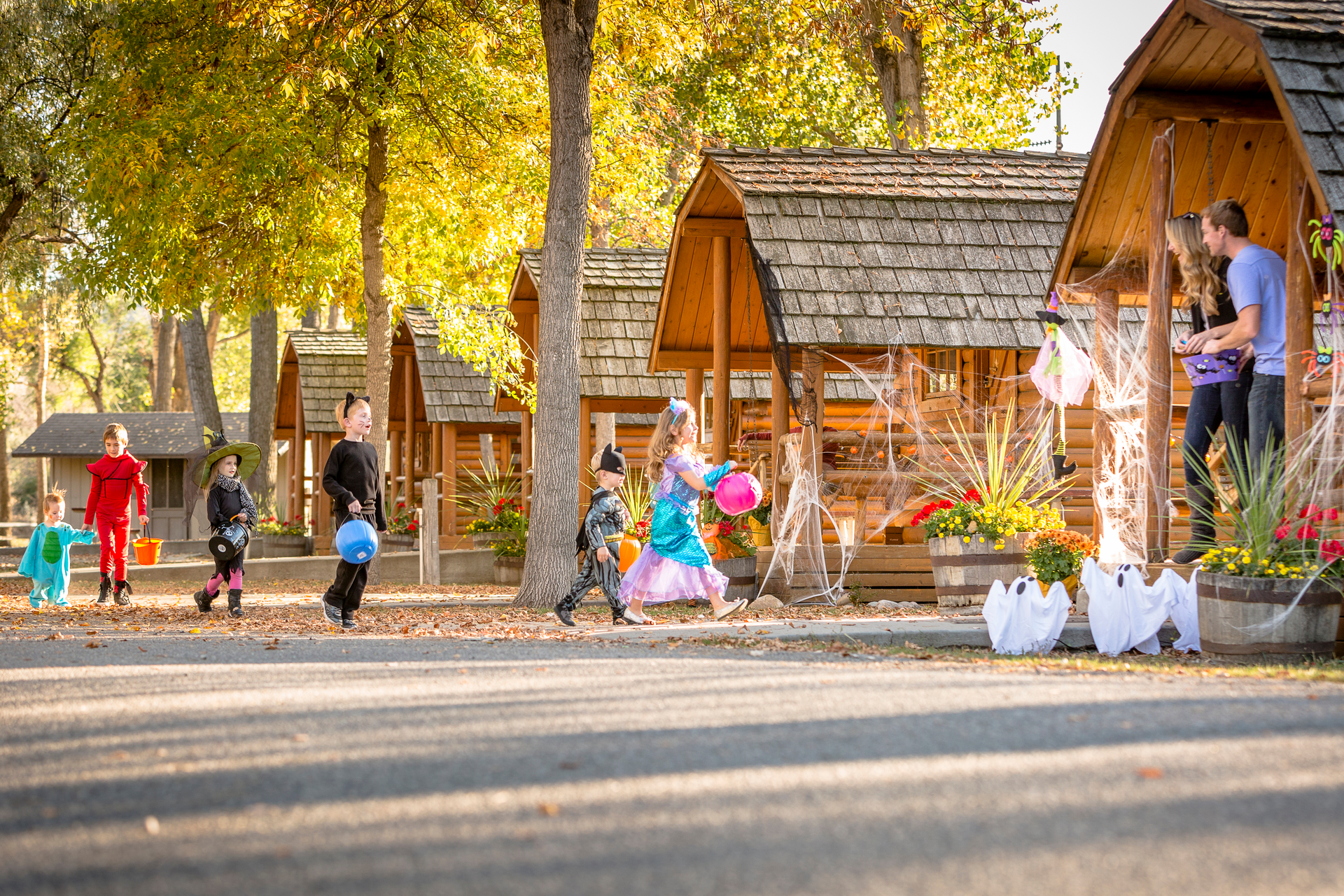 Halloween Weekends Photo