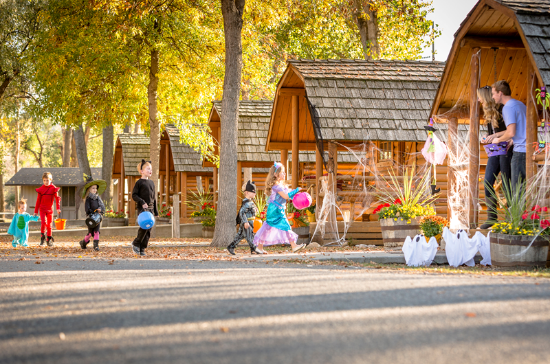 Halloween Weekends Photo