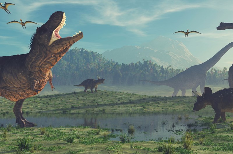 Jurassic Adventure at The Island Photo
