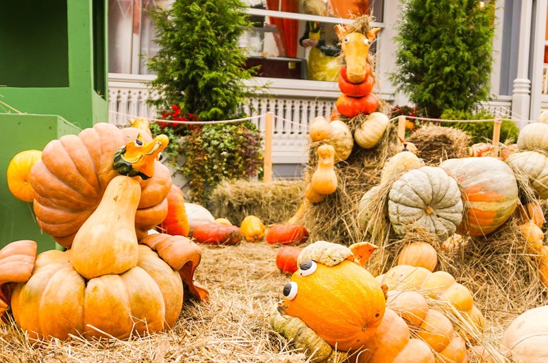 Dollywood's Harvest Festival Photo