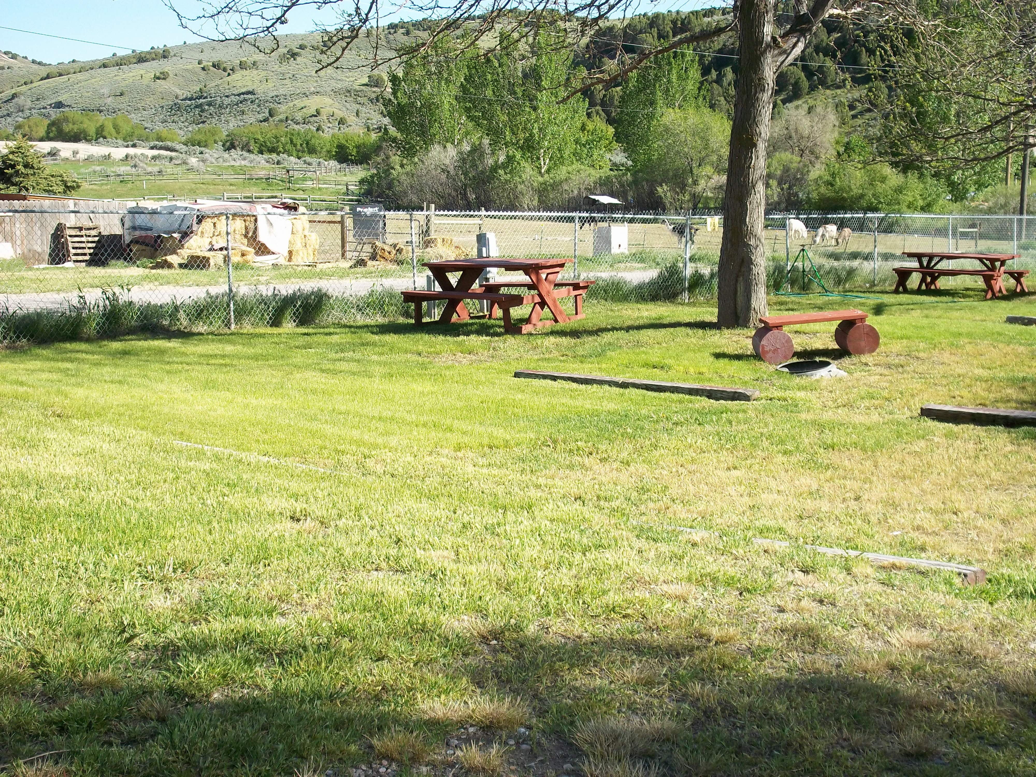 this is one of many tent sites with water, and freshly new grassed area close to the rest rooms.