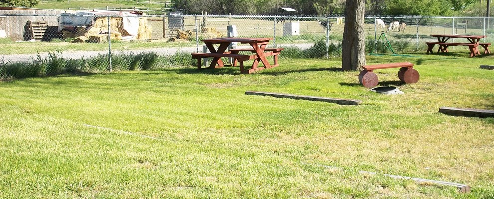 this is one of many tent sites with water, and freshly new grassed area close to the rest rooms.