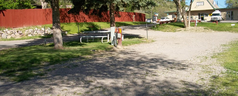 Nice site on the end of the row with large pine tree for shade and grass.