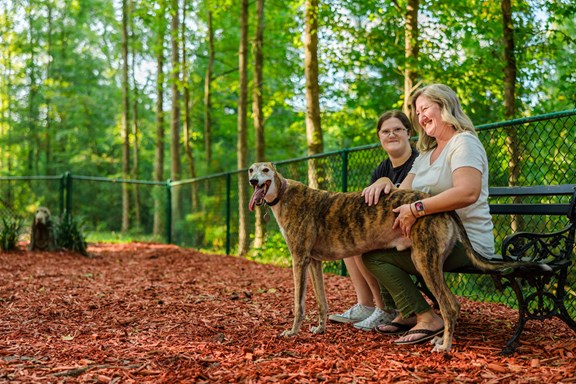 KampK9 Plus a Dog Walk for our 4-legged friends