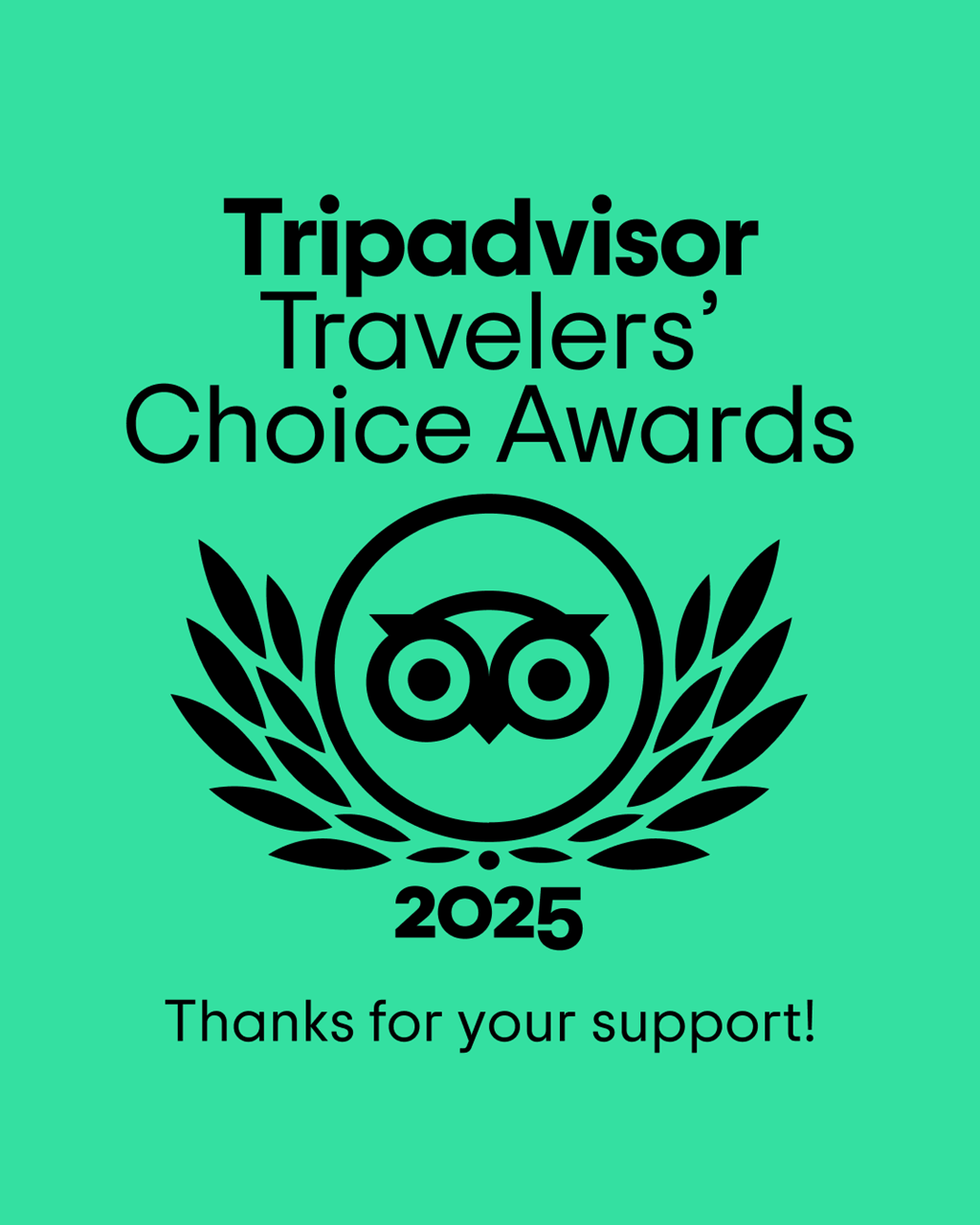 Thank you for 11 consecutive years of Travelers Choice Award